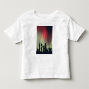 USA, Fairbanks-Gebiet, Zentralalaska, Aurora Kleinkind T-shirt