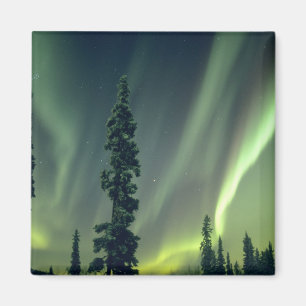 USA, Fairbanks-Gebiet, Zentralalaska, Aurora Magnet