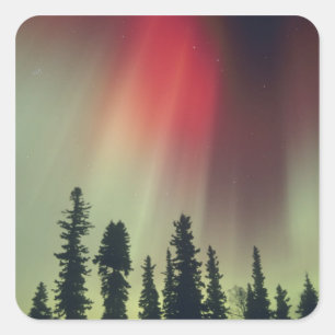 USA, Fairbanks-Gebiet, Zentralalaska, Aurora Quadratischer Aufkleber