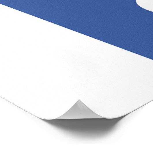 USA Female Soccer Tshirts and Gifts Poster (Ecke)