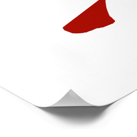 USA Fencing Poster (Ecke)