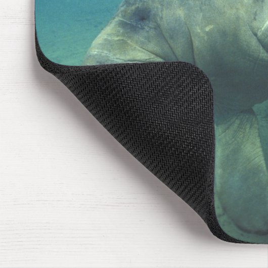 USA, FL, Manatee Mousepad (Ecke)