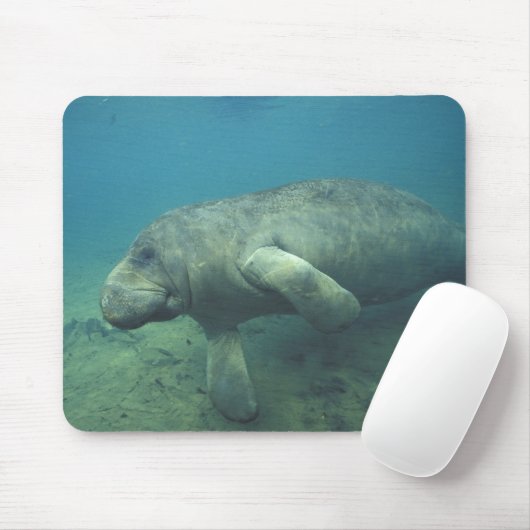 USA, FL, Manatee Mousepad (Mit Mouse)