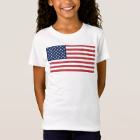 USA Flag-26976