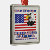USA Flag & Eagle/Dies ist mein Land Silbernes Ornament (Rechts)