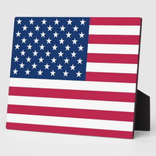 USA Flag Plaque Fotoplatte
