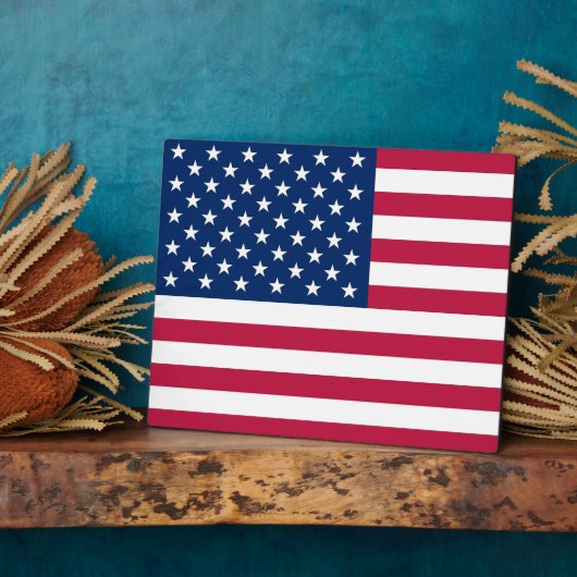 USA Flag Plaque Fotoplatte (Seite)