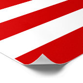 USA Flag Poster (Ecke)