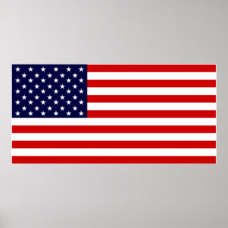 USA Flag Poster