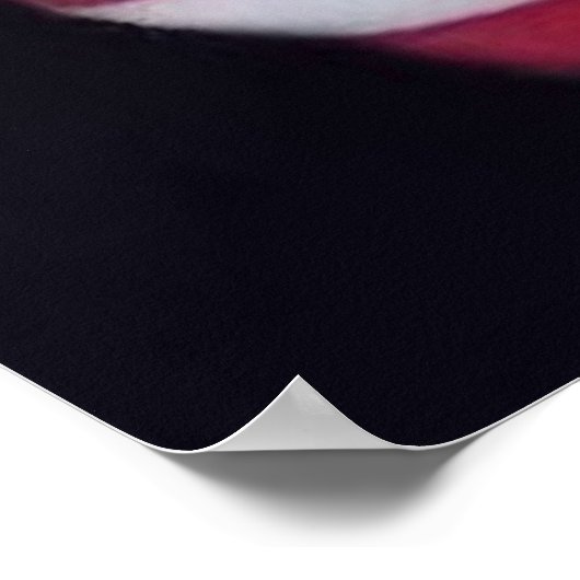 USA-Flag Poster (Ecke)