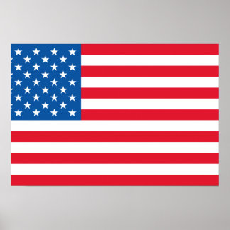 USA Flag US Flagge Poster