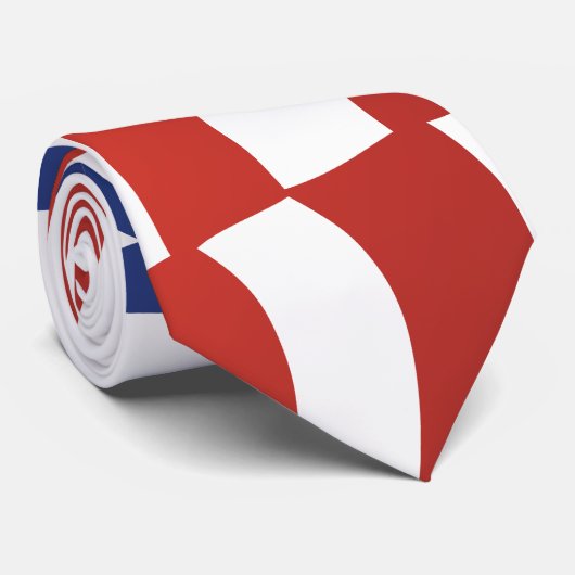 USA-Flagge Krawatte (Gerollt)