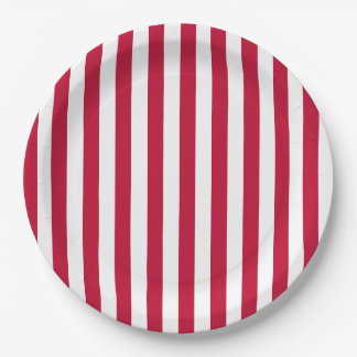 USA-Flagge Thema Rot-Weiß-Streifen-Muster Pappteller