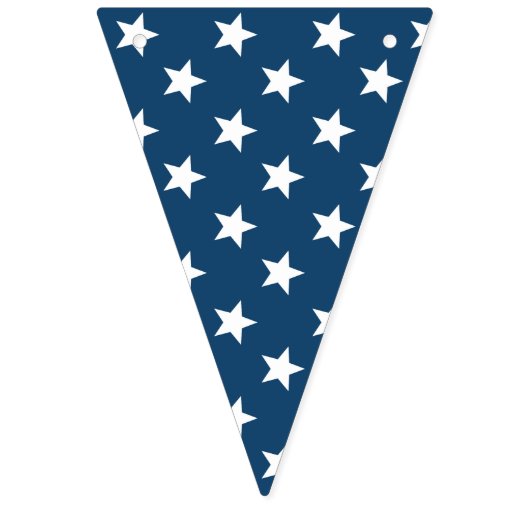 USA-Flaggen-US Flagge (Erste Fahne)