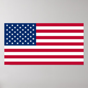 USA Flaggen USA US-amerikanisches Poster