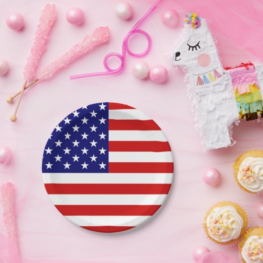 USA-Flaggenplan Pappteller (Party)