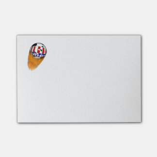 USA Flaming Soccer Ball Post-it Klebezettel