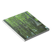 USA, Florida, Apalachicola National Forest, Bald Notizblock (angewinkelt)