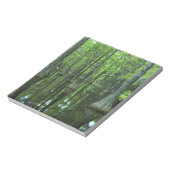 USA, Florida, Apalachicola National Forest, Bald Notizblock (Rotiert)