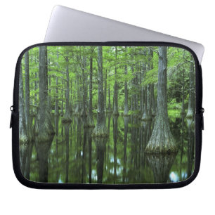 USA, Florida, Apalachicola National Forest, Kahl Laptopschutzhülle