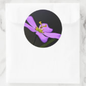 USA, Florida, Big Cypress National Reserve Runder Aufkleber (Tasche)