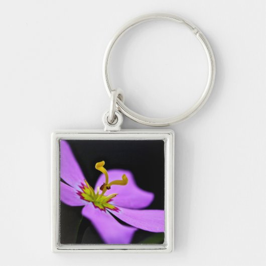 USA, Florida, Big Cypress National Reserve Schlüsselanhänger (Vorne)