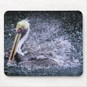 USA, Florida. Brauner Pelikan Mousepad