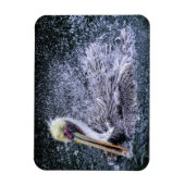 USA, Florida. Brown Pelican Magnet (Vertikal)