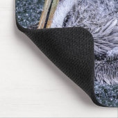 USA, Florida. Brown Pelican Mousepad (Ecke)