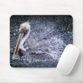 USA, Florida. Brown Pelican Mousepad (Mit Mouse)