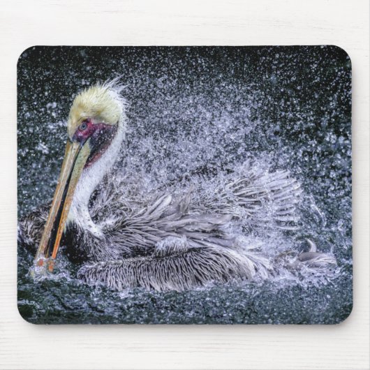 USA, Florida. Brown Pelican Mousepad (Vorne)