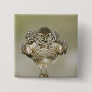 USA, Florida, Cape Coral, Nah aufkeimende Button