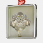 USA, Florida, Cape Coral, Nah aufkeimende Ornament Aus Metall (Links)