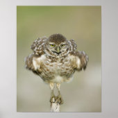 USA, Florida, Cape Coral, Nah aufkeimende Poster (Vorne)