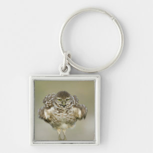 USA, Florida, Cape Coral, Nah aufkeimende Schlüsselanhänger