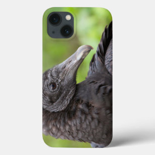 USA, Florida, Everglades National Park 2 Case-Mate iPhone Hülle