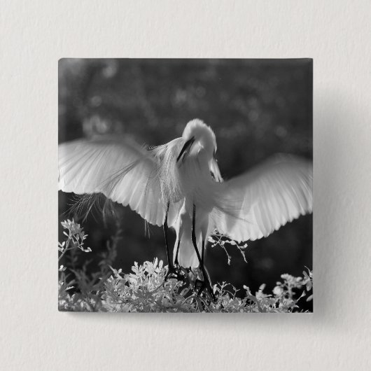 USA, Florida, Great Egret (Ardea alba) infrarote 2 Button (Vorderseite)