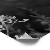 USA, Florida, Great Egret (Ardea alba) infrarote 3 Poster (Ecke)