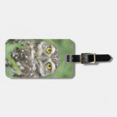 USA, Florida, Kapkorallen, Burrowing Owl (Athene) Gepäckanhänger (Vorderseite horizontal)