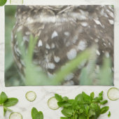 USA, Florida, Kapkorallen, Burrowing Owl (Athene) Handtuch (Gefaltet)