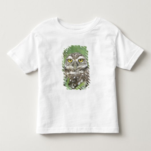 USA, Florida, Kapkorallen, Burrowing Owl (Athene) Kleinkind T-shirt (Vorderseite)