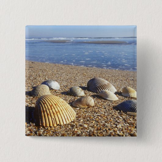 USA, Florida, Küstenmeeresmuscheln Button (Vorderseite)