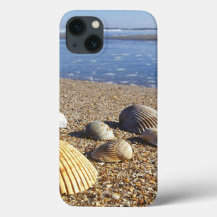 USA, Florida, Küstenmeeresmuscheln Case-Mate iPhone Hülle