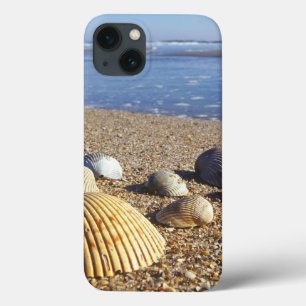 USA, Florida, Küstenmeeresmuscheln Case-Mate iPhone Hülle