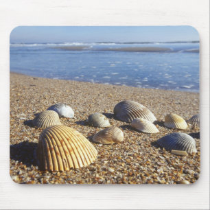 USA, Florida, Küstenmeeresmuscheln Mousepad