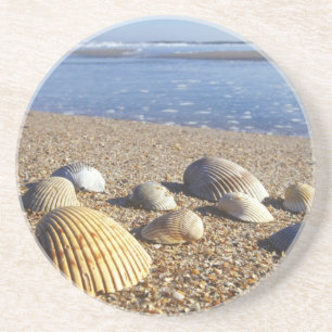 USA, Florida, Küstenmeeresmuscheln Untersetzer