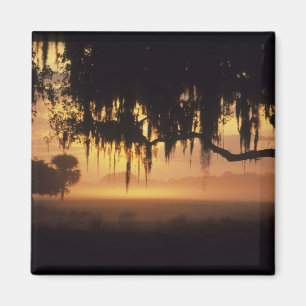 USA, Florida, Lake Kissimmee. Silhouette bei Sonne Magnet