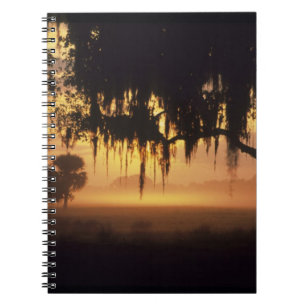 USA, Florida, Lake Kissimmee. Silhouette bei Sonne Notizblock