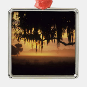 USA, Florida, Lake Kissimmee. Silhouette bei Sonne Silbernes Ornament