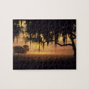 USA, Florida, Lake Kissimmee. Sonnenaufgang Silhou Puzzle
